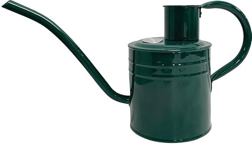 Kent & Stowe Regadera para Interiores y Exteriores de 2 L, Color Verde Bosque, regadera galvanizada Resistente al óxido con Mango y Boquilla Larga, Herramientas clásicas de jardín para Todo el año,