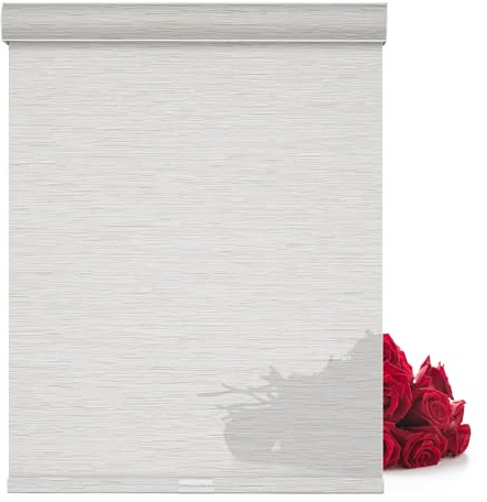 Sulugood Roller Shades for Windows,Light Filtering Roller Blinds with Cassette Valance,Window Blinds,Jacquard Thermal Insulation Energy Saving Cordless Shades for Home Door,Beige,29 W x 56 H