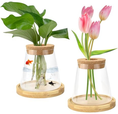 MININUSI 2 PCS Vase en Verre Transparent, Stations de Propagation de Plantes avec Bouchon et Plateau en Bois, Vases à Fleurs en Verre Clair pour Hydroponie, Fleurs, Fleurs Séchées, Ornemental (330ML)