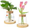 MININUSI 2 Pezzi Vaso in Vetro Trasparente,Stazioni per la Propagazione delle Piante con Tappo e Vassoio in Legno,Vasi per Fiori in Vetro Trasparente per Coltura Idroponica,Fiori,Ornamentali,330ML