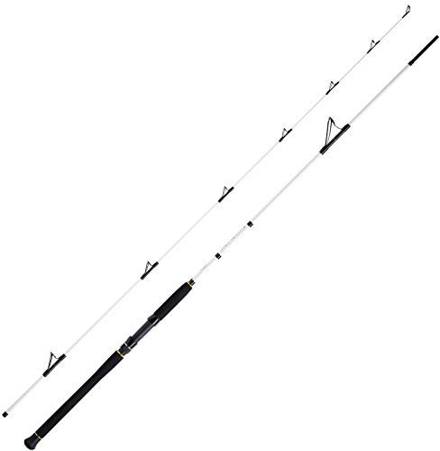 WFT Salzmeister Offshore Jigger 2,65m 90-320g