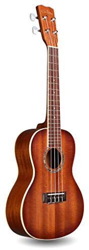 Cordoba 15CM E Concert Electric Ukelele Edgeburst