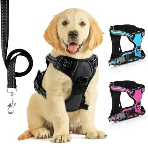 SIBOTER Harnais Chien, Harnais Anti Traction pour Chien, Harnais Chien Anti Traction Réfléchissant, avec Laisse pour Chien, pour Entraînement en Plein Air (Noir Foncé, L)