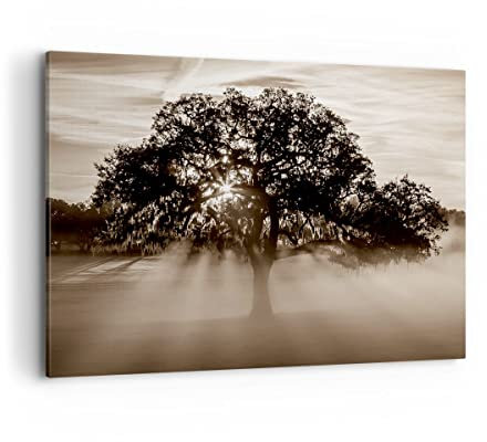 Moderne Impression sur Toile 100x70cm Image Tableau Decoration Murale arbre champ nature Grand Tableaux Decoratifs Muraux Chambre Cuisine Horizontal Deco Cadre Décoration Salon Art Wall AA100x70-3811