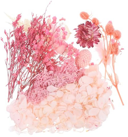 ABOOFAN Confezione Di Fiori Secchi Naturali Pressati Per Lavori Artigianali Fiori in Rilievo Per Kit Di Fiori Selvatici Secchi in Resina