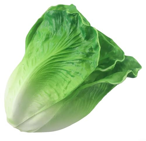 ZYNCUE Kopfsalat-Dekorationsmodell, leicht, attraktives Kunstgemüse für den Heimgebrauch