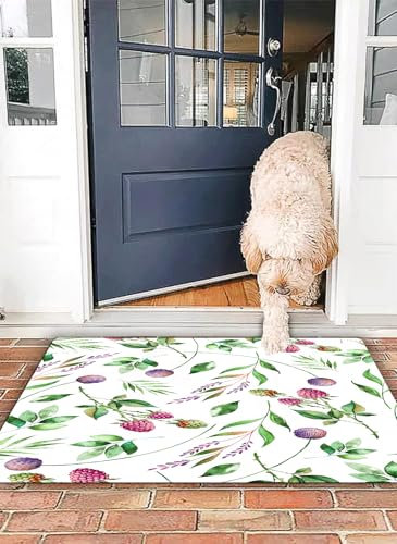 OHJEAJDS Badezimmerteppich rutschfest Badematte 40x 60 cm,Badteppich Saugfähig Weich Maschinenwaschbar für Badezimmer,Muster Beeren mit Aquarell -Malin, Brombeere, Trauben,