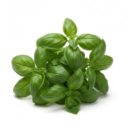 Semi di Basilico Italiano Comune 6g | Alta Germinazione | Semi da Orto per Vaso, Balcone e Giardino | Pianta Aromatica Profumata per Pesto e Cucina | Semi Professionali Made in Italy