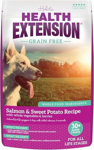 Health Extension Grain Free Salmon & Sweet Potato Dry Dog Food - 30+ Superfoods and Probiotics for All Life Stages (4 lb)