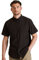 Craghoppers Mens Expert Kiwi Short Sleeved Shirt, Black, Size L