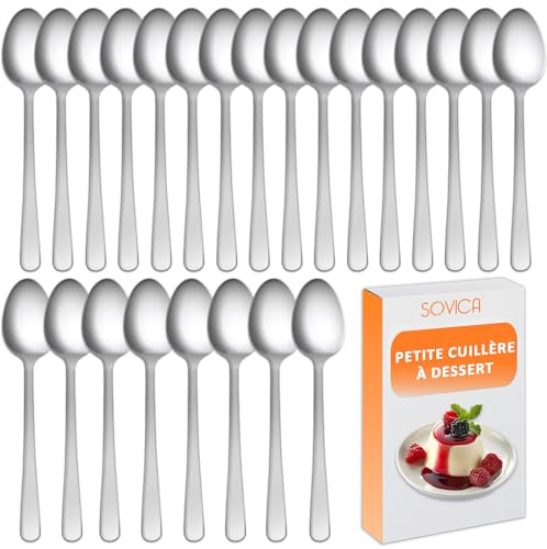 Cucchiaini da Dolce Acciaio Inox 18/0 – Set Cucchiai da Dessert con Finitura Lucida, Resistenti e Facili da Pulire, Ideali per Gelato, Yogurt, Dolci, Casa, Bar e Ospiti (24 Pezzi)