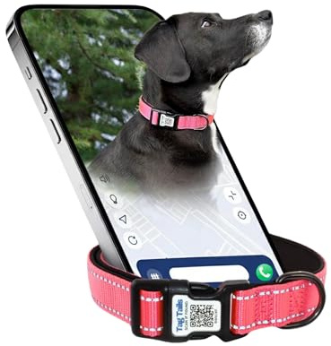 Smart Hundhalsband med Inbyggd QR-kod – Digital ID-bricka (QR Code), snabb identifiering vid borttappat husdjur, inga avgifter eller abonnemang