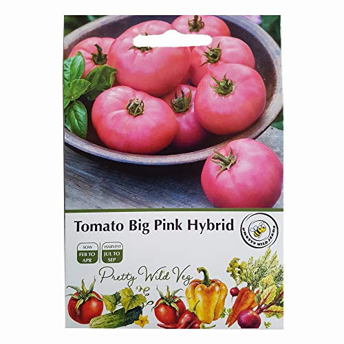 Tomato Big Pink F1 Seeds Vegetable Fruit Seeds Veg Seeds Cabbage Carrot Sweetcorn Tomato Strawberry (Tomato Big Pink F1)