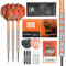 TARGET Darts Raymond van Barneveld RVB 22G 80% Tungsten Steel Tip Darts Set - 9 Pro Grip Shafts - 9 Pro Ultra Flights - Dart Wallet Bundle