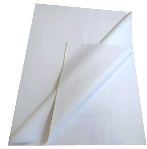 100 Sheets Large Acid Free White Tissue Paper 20 x 30 inches for Gift Wrapping Arts Craft Decorations Packing Tissue Paper