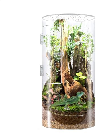 Jaula de araña saltarina, terrario acrílico tarántula, puerta de apertura frontal, impermeable, pequeña jaula de reptiles, hábitat para caracol tarántula