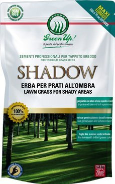 SEMI DI PRATO ERBA SHADOW RESISTENTE ALL'OMBRA DI FACILE MANUTENZIONE 1,2 KG PER 70 MQ AMDGarden