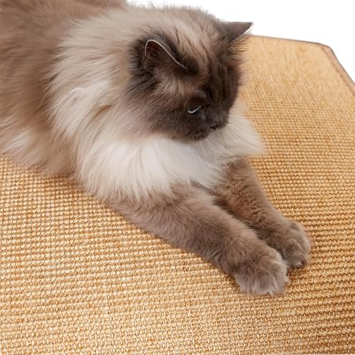 Tapis à griffer Naturel pour Chat Beige 80 x 100 cm - Mat à griffer Robuste pour Le Sol - Surface à griffer résistante pour protéger Les Meubles