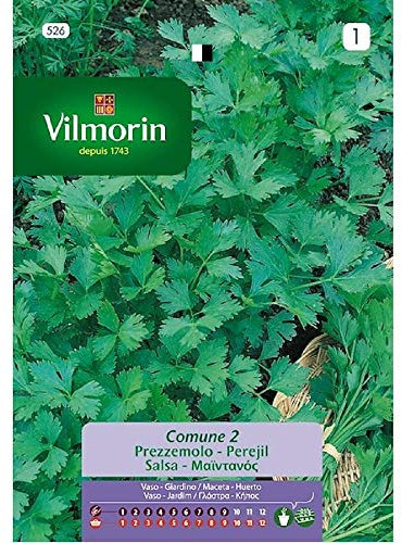 Semillas de PEREJIL COMUNE 2 Vilmorin - Sobre 14g