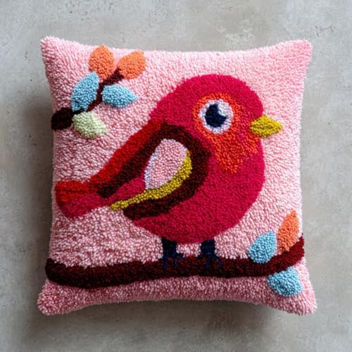 WallustrioaW Juego De Cojines Con Ganchos De Nudos,Pájaro Para Niños O Principiantes Adultos,Diy,Cierre De Ganchos,Funda De Almohada,Juego De Bordado,Alfombra De Anudado 43X43Cm
