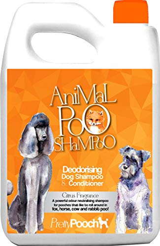 Pretty Pooch® Fox Poo Hundeshampoo & Conditioner für stinkende Hunde – 5 Liter (Zitrusduft) – Sensitives desodorierendes Hundeshampoo – beseitigt Fuchskot & andere Gerüche