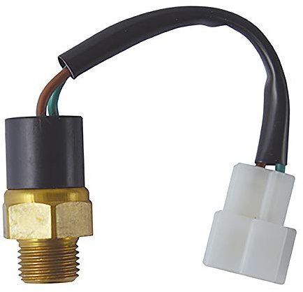 FAE 36360 Interruptor de Temperatura, Ventilador del Radiador