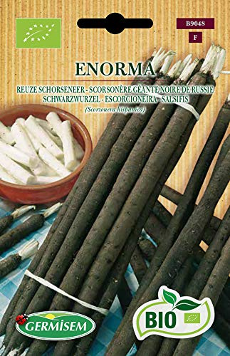 Germisem Orgánica Enorma Semillas de Salsify 2 g