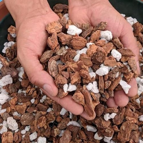 DECOALIVE Sustrato para Orquídeas 5L con Corteza de Pino Que Fomenta el Desarrollo