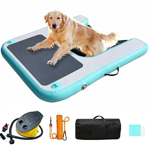 Rampe de Piscine pour Chien, Rampe de Bateau Gonflable pour Chien, échelle Flottante antidérapante en EVA pour Piscine, Bateau, Quai, accès sûr et Facile à l'eau pour Grands Chiens, Vert