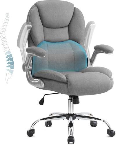 IWMH Executive Office Chair, Ergonomic Big and Tall Computer Desk Chair, High Back Chair with Padded Flip-up Armrest, Lumbar Support Swivel Rolling Chairs (Gray)