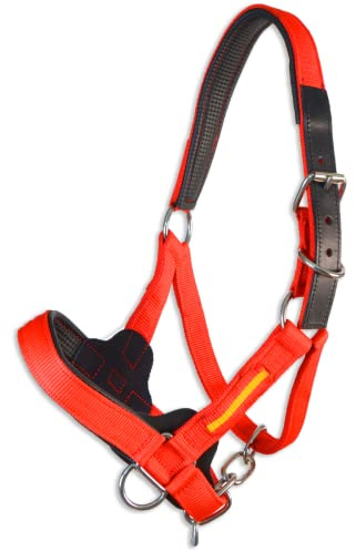 Licol d'écurie Los Nietos Dressage Extra Nylon | Taille unique | Rouge | Équipement équestre | Sellerie | Tradition artisanale | Los Nietos