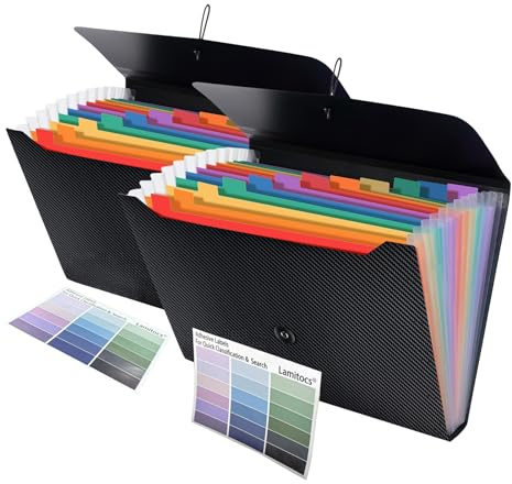 Lamitocs 2 carpetas expansibles A4, organizador de archivos con 13 bolsillos con etiquetas de colores, carpeta de plástico A4, expansor de almacenamiento de documentos para escuela, oficina y hogar,