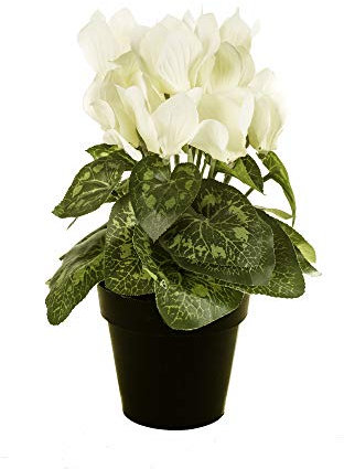 FloristryWarehouse Alpenveilchenstrauß im Topf, Kunstseide, 25 cm hoch, Weiß