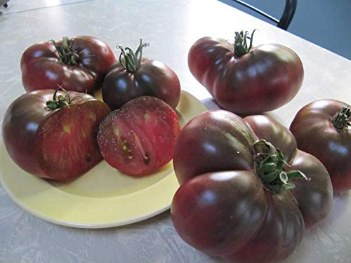 vegherb Cherokee - Tomate de Chocolate y Morado, más de 40 Semillas orgánicas Frescas de Cada uno para 2018