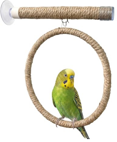 Perchoir Perroquet en Bois, Perchoir Perroquet, Perch a Ventouse pour Oiseaux, Support pour Petits et Moyens Oiseaux, pour Carrelage, Verre et Surfaces Lisses(20cm)