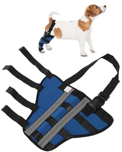 CAPASTEC Dog Right Hinds Benstöd, ventilerande stödbandage knäskydd för återhämtning av hundben efter operationer, stabil knäkudde för bakben, S, blå