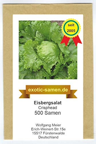 Eisbergsalat - Crisphead (500 Samen)