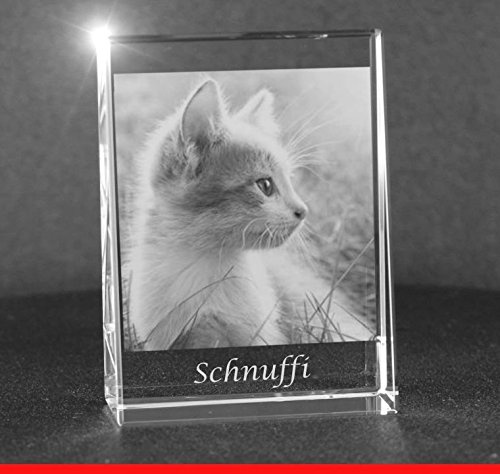 VIP-LASER 2D Gravur Glas Kristall Flachglas selbststehend Hochformat mit dem Foto Deiner Katze. Dein Wunschfoto für die Ewigkeit Mitten in Glas! Groesse L = 80x60x24mm