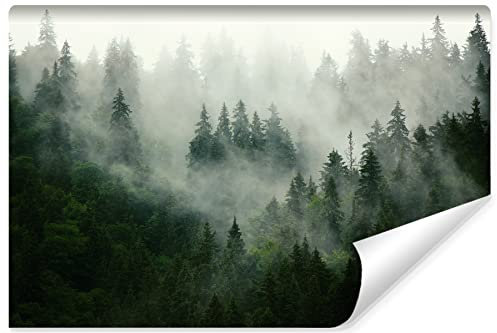 Muralo Fototapete WALD IM NEBEL Wandtapeten Bäume Grün Natur Wohnzimmer Schlafzimmer Esszimmer Moderne Wandbilder XXL Landschaft Panorama Wand Dekoration (VLIES, Br. 368 cm x Hö. 254 cm)