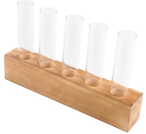 SUPVOX 1ensemble Vase Transparent pour Plantes Hydroponiques avec Support Conteneur De Bureau Élégant pour Et Boutures pour Décoration Intérieure Et Terrariums