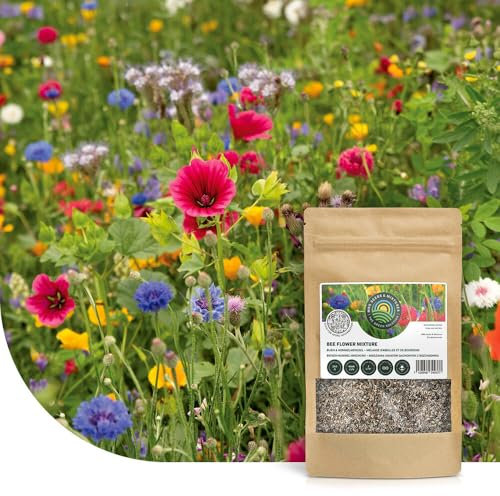 Mélange de fleurs pour prairie d'abeilles | 50g - 25 m² | Mélange de graines de fleurs multicolores : annuelles et vivaces | Source de nourriture pour abeilles, bourdons et papillons