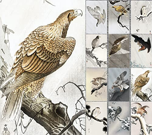 EAGLE AND FALCON Greetings Cards 12 Large Folded Cards ~ KOSON OHARA Antique Japanese Woodblock Engraving Vintage Museum Painting Nature Shin Hanga Birds of Prey