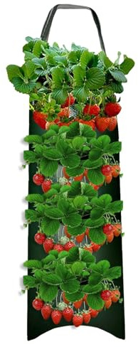 Birtern Borse per Piante di Fragole, Borse da Coltivazione a, Vaso da Giardino Verticale a Parete, Borse per Piante di Fragole in Tela Traspirante, Borse da Coltivazione per Fiori, Vaso da