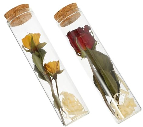 TOYZFRIENDY 2 Frascos De Flores Secas Frascos Decorativos Pequeños De Boticario Frascos para Flores Secas Frasco De Vidrio Transparente para Deseos