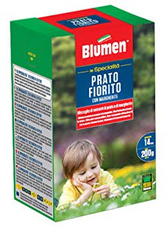 Blumen Prato Florero Margarita Verde