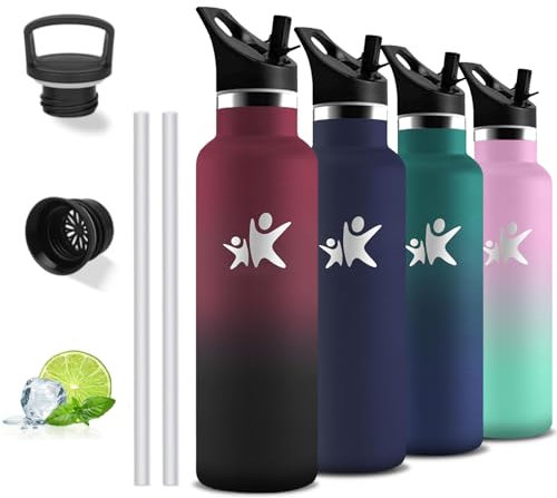 Gourde Isotherme, 750 ml Gourde Paille, Gourde Inox, Anti Fuite, Gourde Metal, Double Isolation, Gourde Acier Inoxydable, Avec Poignée, Gourde sans Bpa, Bouteille d'eau pour Randonnée, Camping, Voyage