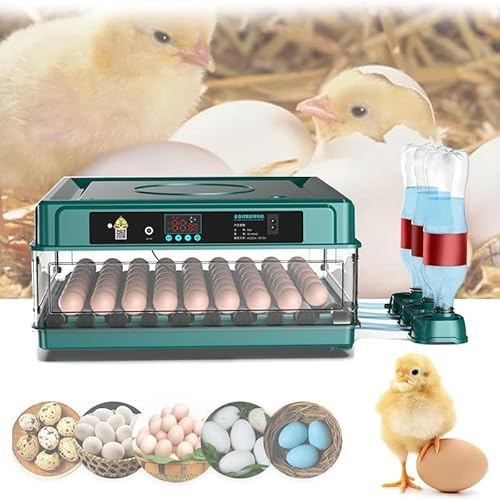 Incubadora Huevos Gallina, Incubadora Automática de 10/16/24/36 Huevos, Incubadora de Huevos con Control de Temperatura, Adición Automática de Agua, Volteador Automático de huevos (24 Huevos)