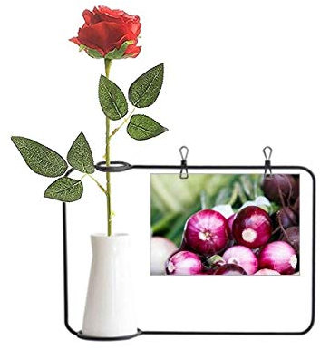 Regalo di bellezza immagine fresca temperata Vageable cipolla artificiale fiore di rosa appeso vasi decorazione bottiglia