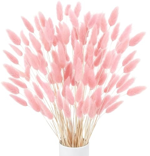 Minnhua 120pcs Fiori Secchi Decorativi Rosa Pampas Fiori Secchi Naturali Erba della Pampas Coda di Coniglio Fiori Secchi Pampas Decorative Fiori di Pampas per Casa Vaso Tavolo Festa