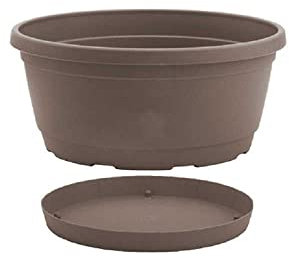 Nicoli 33 A30T Origine Essential iniezione stampaggio Ciotola Rumba Completo, Tortora, 30 cm